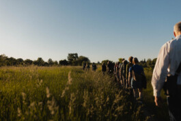 Eine Gruppe an Menschen geht in einer Reihe durch eine satt grüne Wiese mit hohem Gras.