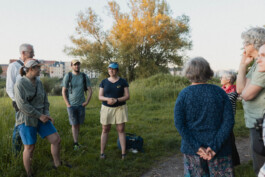 Eine Gruppe an Menschen steht um eine Frau ind er Mitte des Bildes die gerade etwas erklärt. Der Hintergrund ist von einem baum geprägt auf dem gerade das Abendlicht fällt.